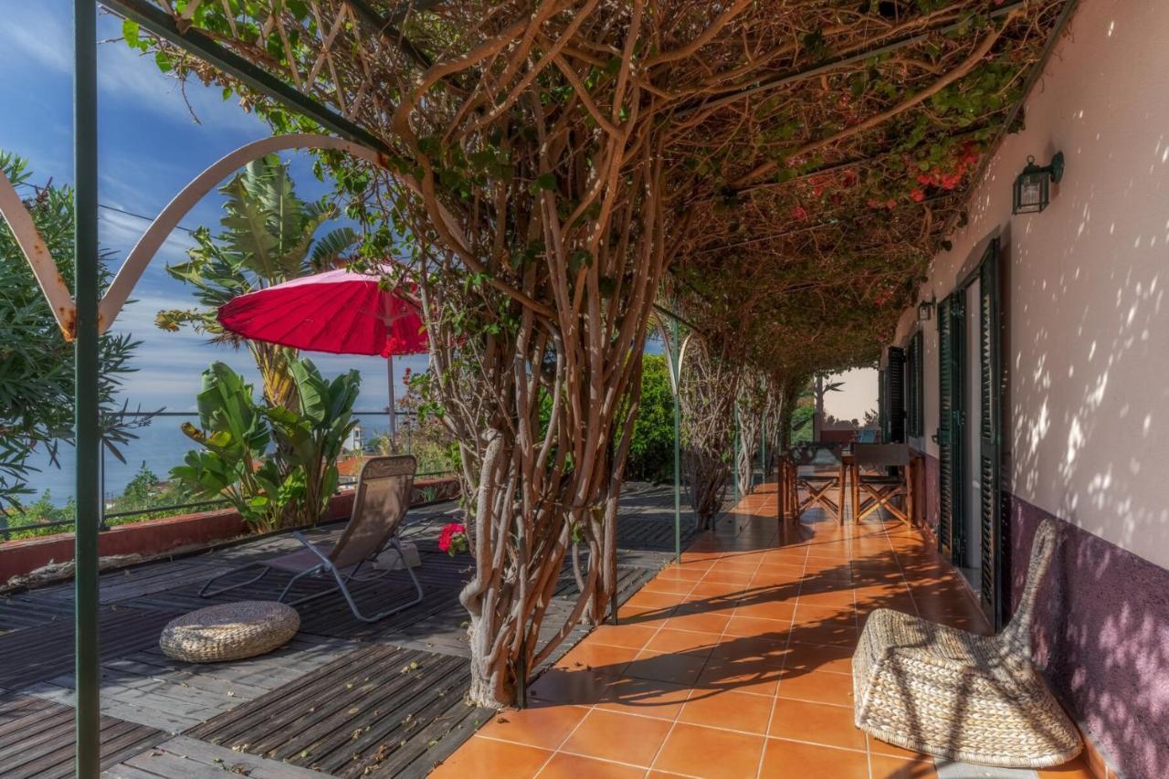 Cozy Villa Flora By Hr Madeira Estreito Da Calheta Esterno foto